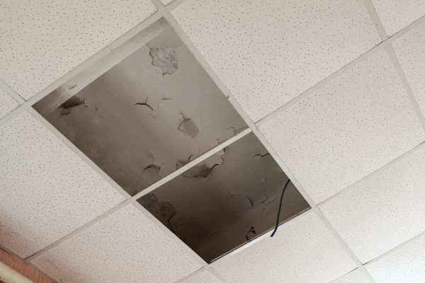 Ceiling Tile Removal